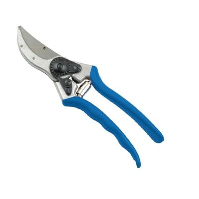 Support personnalisé et ciseaux de taille de lames en acier en carton pour un entretien soigné du jardin
