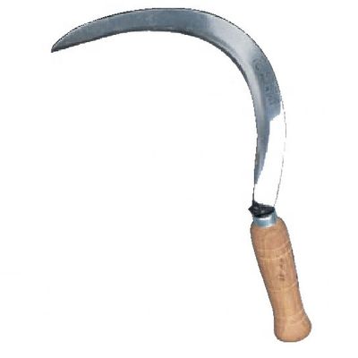 Faucille tranchante aiguisée de 40 cm pour l'agriculture et la récolte Finition brillante non revêtue