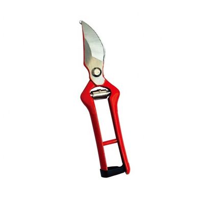 Avantages Ciseaux de taille de jardin résistants pour l'entretien des serres